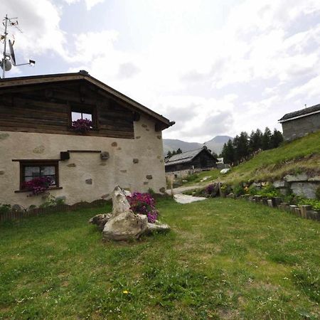 Mountain Chalet Scoiattolo By Livigno Accomodation Екстериор снимка