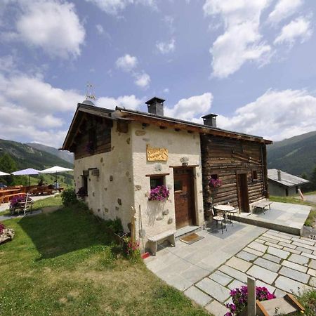 Mountain Chalet Scoiattolo By Livigno Accomodation Екстериор снимка