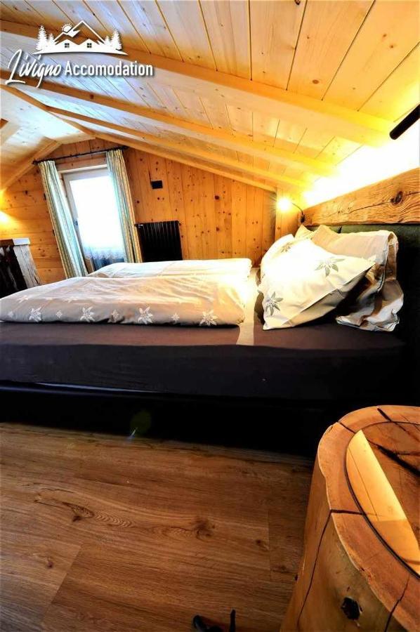 Mountain Chalet Scoiattolo By Livigno Accomodation Екстериор снимка
