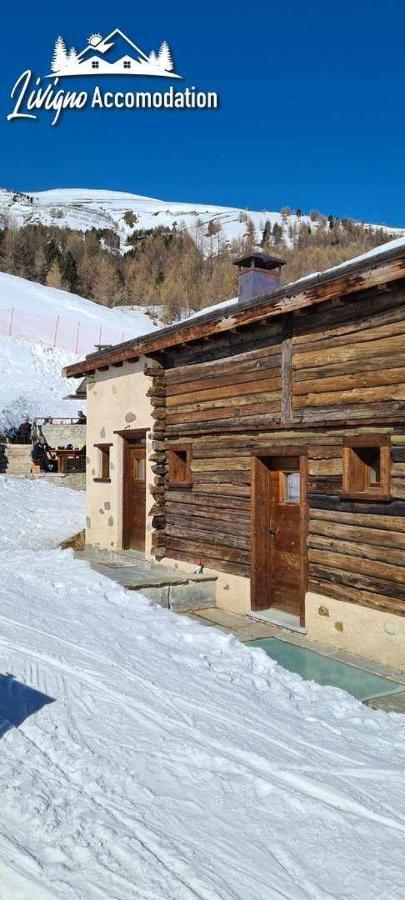 Mountain Chalet Scoiattolo By Livigno Accomodation Екстериор снимка