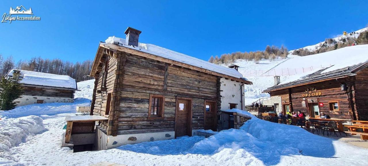 Mountain Chalet Scoiattolo By Livigno Accomodation Екстериор снимка