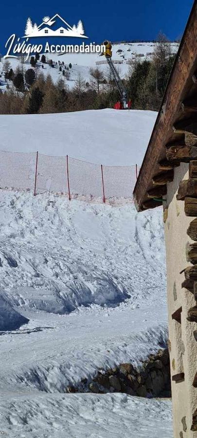 Mountain Chalet Scoiattolo By Livigno Accomodation Екстериор снимка