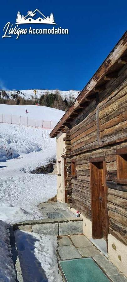 Mountain Chalet Scoiattolo By Livigno Accomodation Екстериор снимка