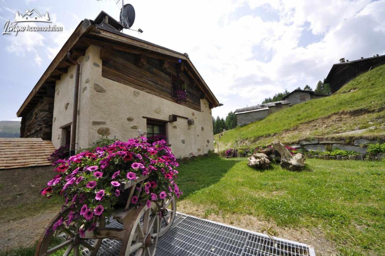 Mountain Chalet Scoiattolo By Livigno Accomodation Екстериор снимка