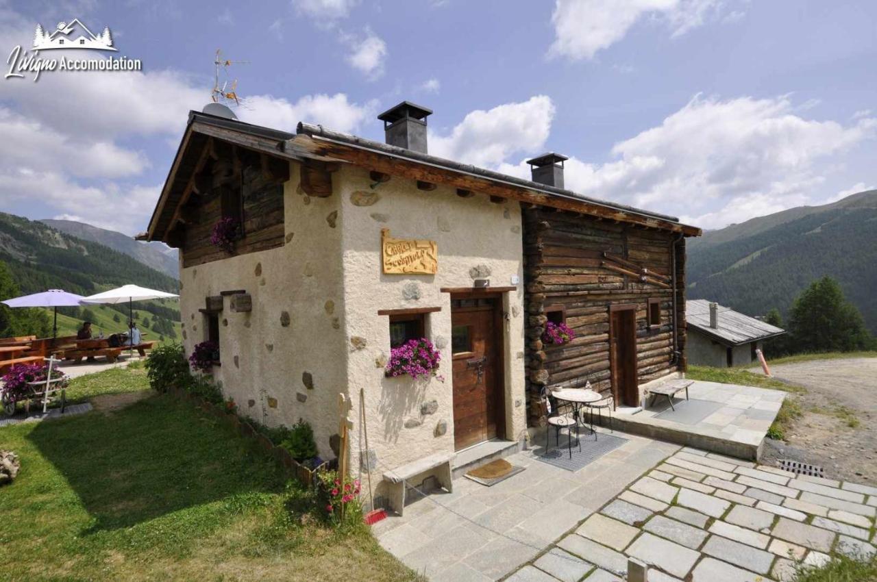Mountain Chalet Scoiattolo By Livigno Accomodation Екстериор снимка