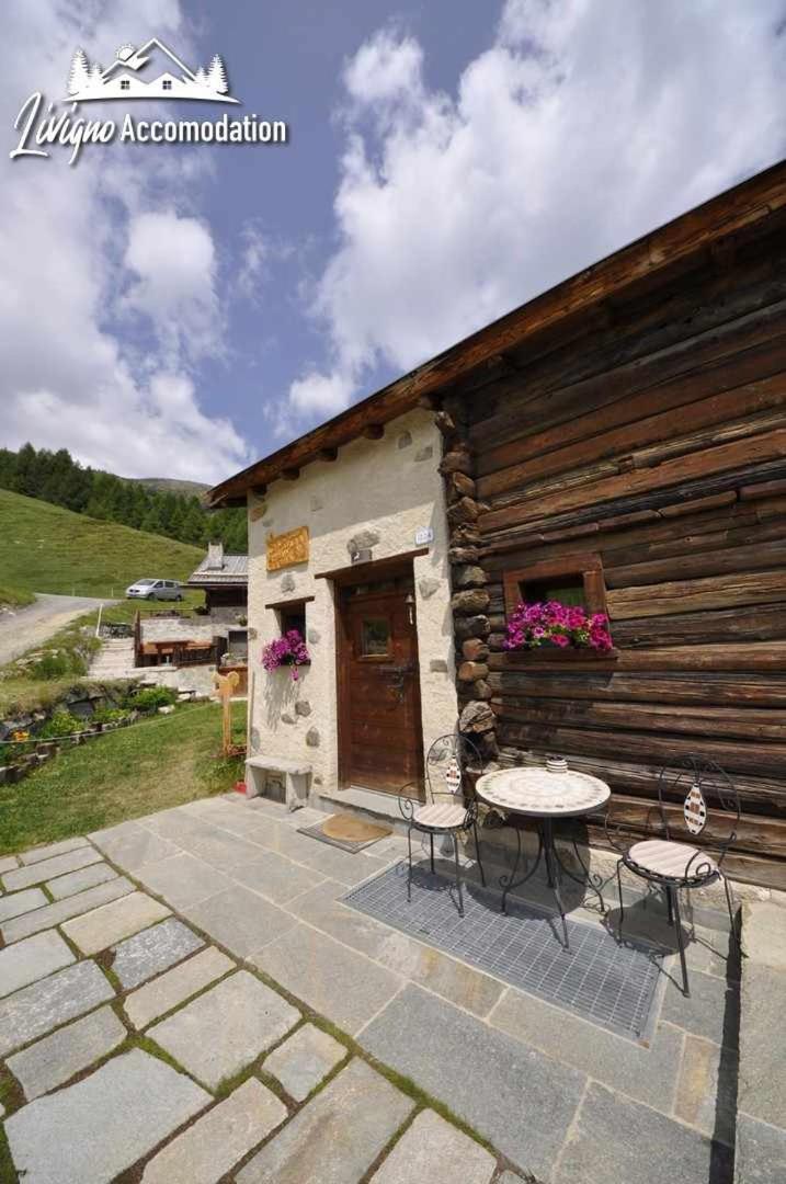 Mountain Chalet Scoiattolo By Livigno Accomodation Екстериор снимка