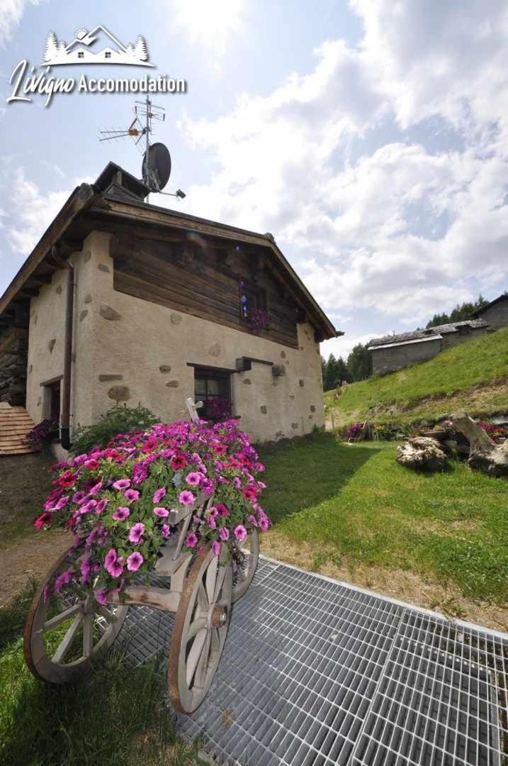 Mountain Chalet Scoiattolo By Livigno Accomodation Екстериор снимка