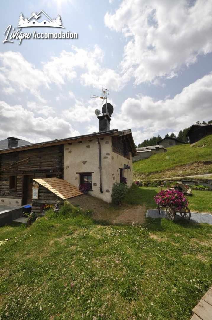 Mountain Chalet Scoiattolo By Livigno Accomodation Екстериор снимка