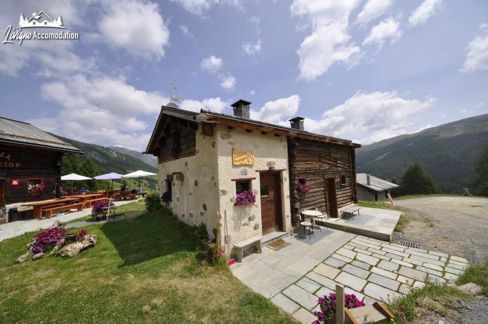 Mountain Chalet Scoiattolo By Livigno Accomodation Екстериор снимка