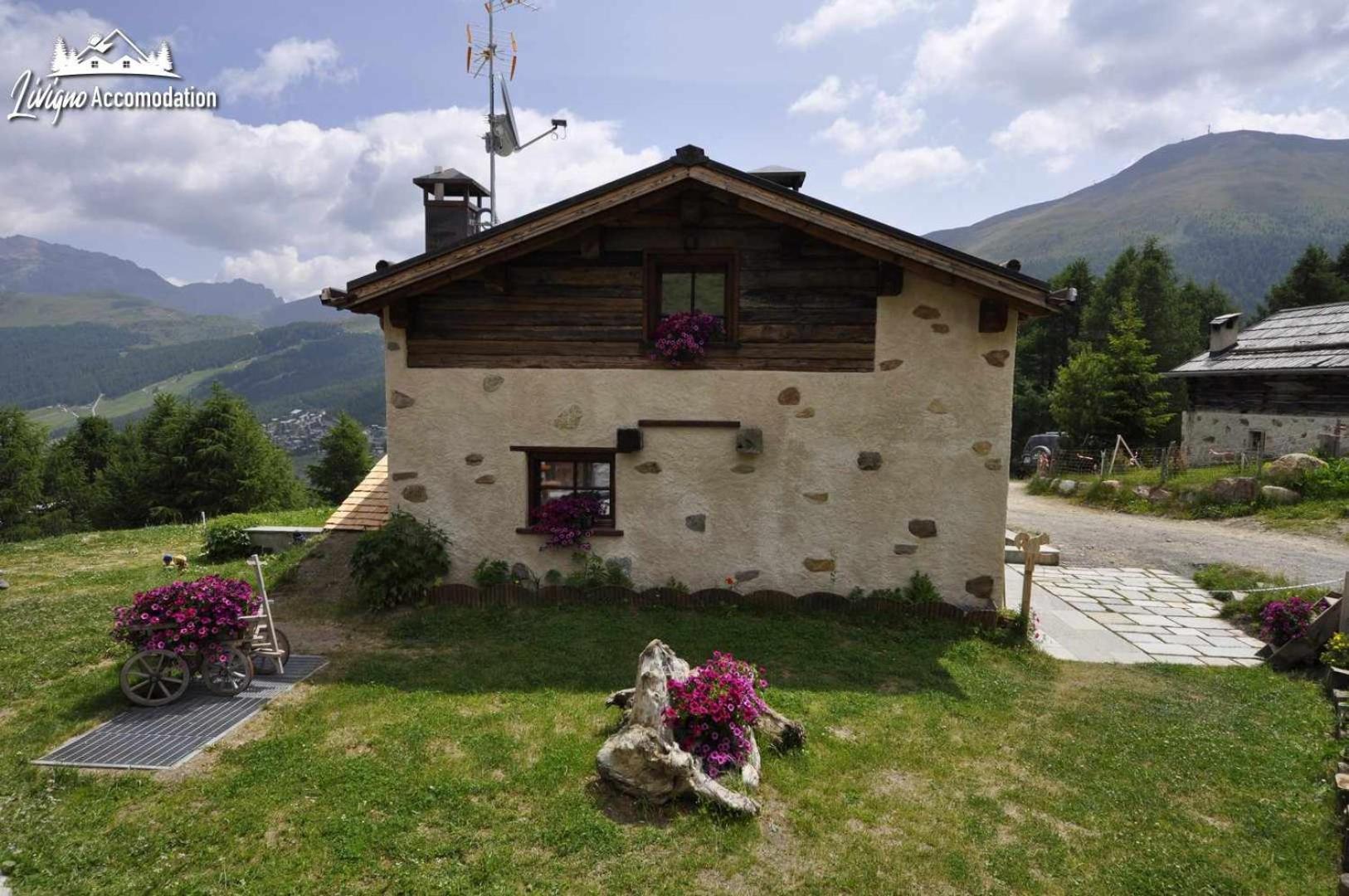 Mountain Chalet Scoiattolo By Livigno Accomodation Екстериор снимка