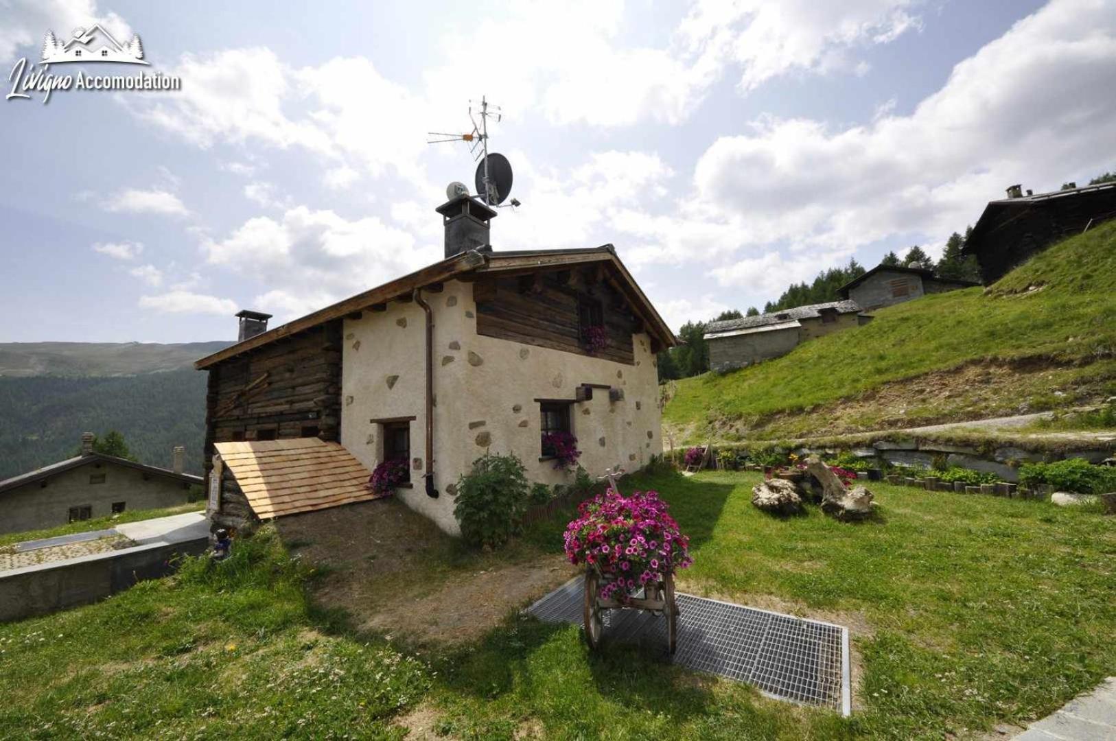 Mountain Chalet Scoiattolo By Livigno Accomodation Екстериор снимка